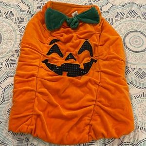 Pumpkin dog costume. Size XXL